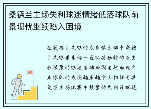 桑德兰主场失利球迷情绪低落球队前景堪忧继续陷入困境